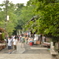 とある夏の参道