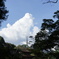 夏空_３