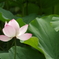 IMGP0462