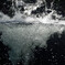 京都水族館