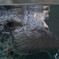 京都水族館