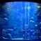 京都水族館