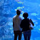 京都水族館