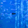 京都水族館