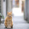 江の島の猫
