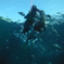 DSCF0433