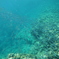 DSCF0454