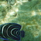 DSCF0643