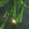 雫にはじける虹色の光　その3