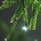 雫にはじける虹色の光　その6