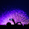 鎌倉が紫に染まる夜