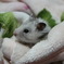 ふぅ～暑い！！