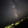 某惑星にて天の川を望む