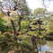 DSCN0500