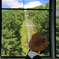 夏山が好き！