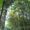 DSCF8889