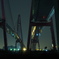 P7260847