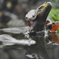 【京都水族館】