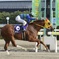 船橋競馬場にて