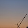 夕暮れ