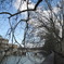 Lungotevere Tor di Nona