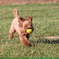 resize0038