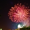 fire flowwre
