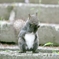 恥ずかしい！！