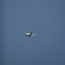 f4phantom　