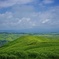 阿蘇外輪山の大観峰より望む