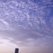 _MG_5208