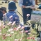 写生会。