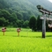 夏のお参り