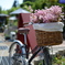 flower basket