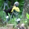 僕も撮って欲しいなぁ～