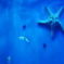 星空に舞う