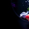 one world