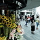 ginza #1
