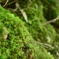 photo_2702030