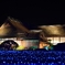 岡山後楽園 　夜間特別開園　幻想庭園④