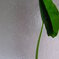 2013 8 10 049