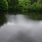P1007998