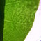 2013 8 10 058