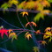 a sign（気配）