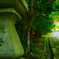 霞む鳥居
