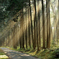 GuidePost Of Light（光りの道しるべ）