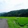 田舎道