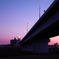橋