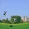 photo_2712773