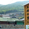 外泊